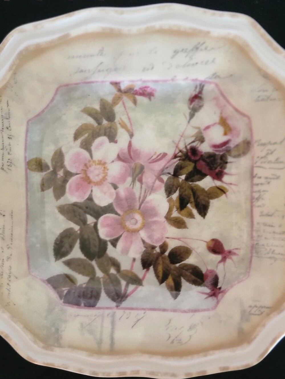 Vintage-style 222 Fifth Square Plate- Cream, Pink,& Green- Catch-all, Decor